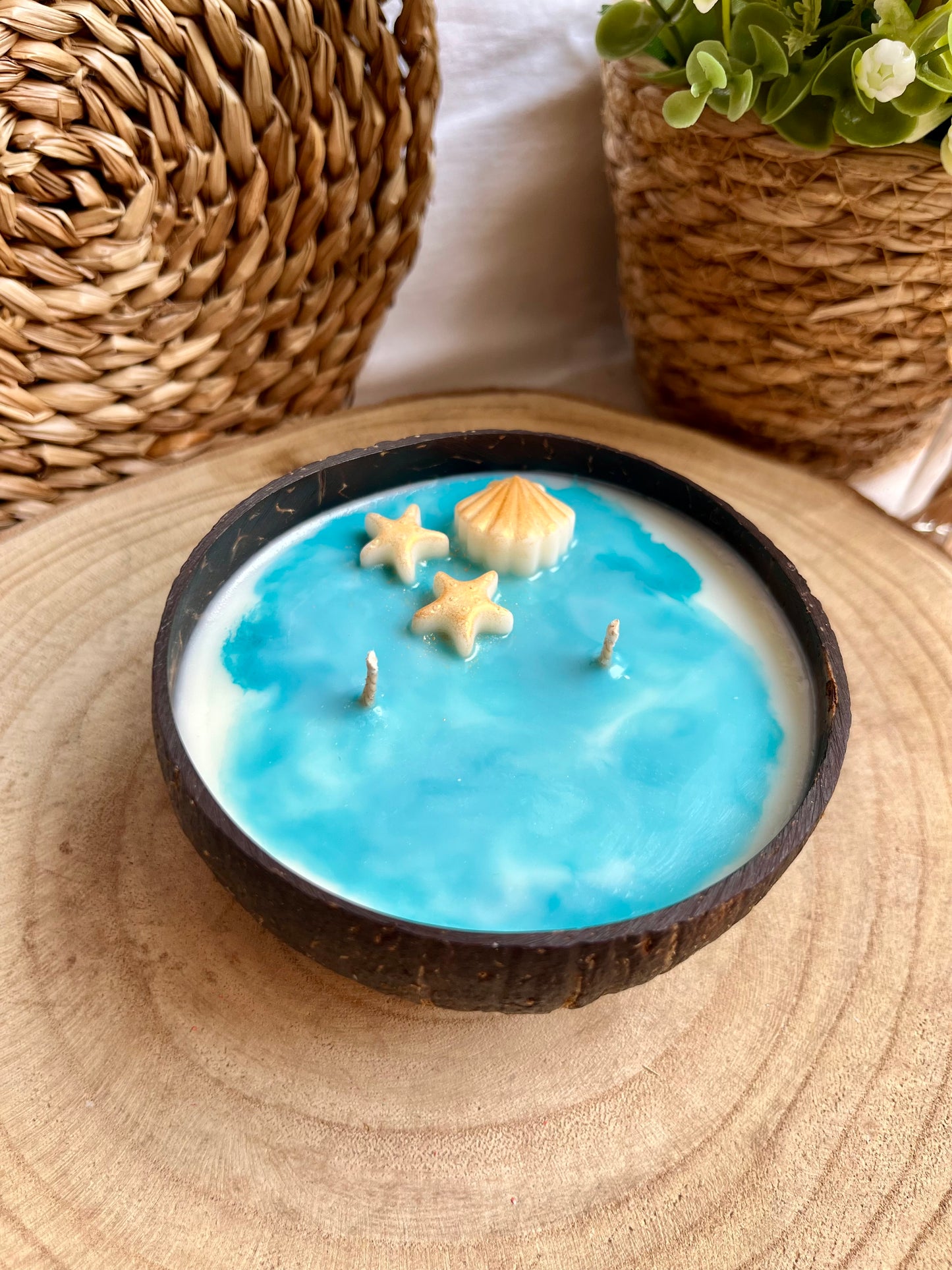 Vela "Coconut Valley"