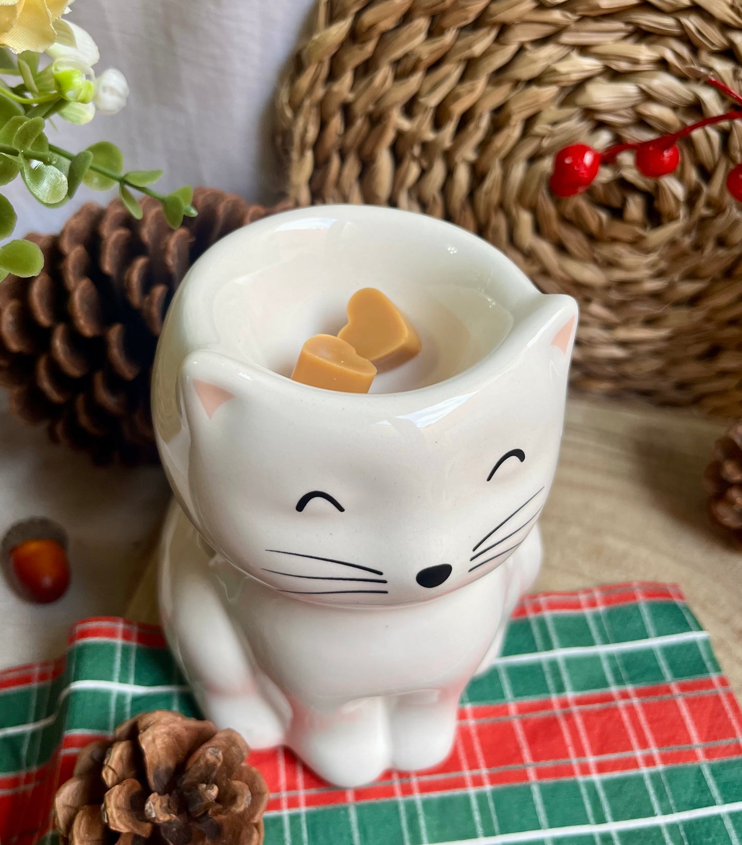 Quemador "Mr. Bigotes"