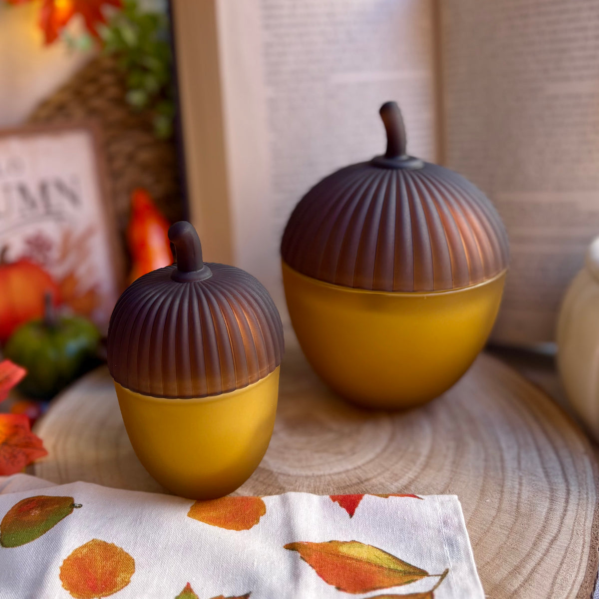 Bajo los Robles · Vela luxury