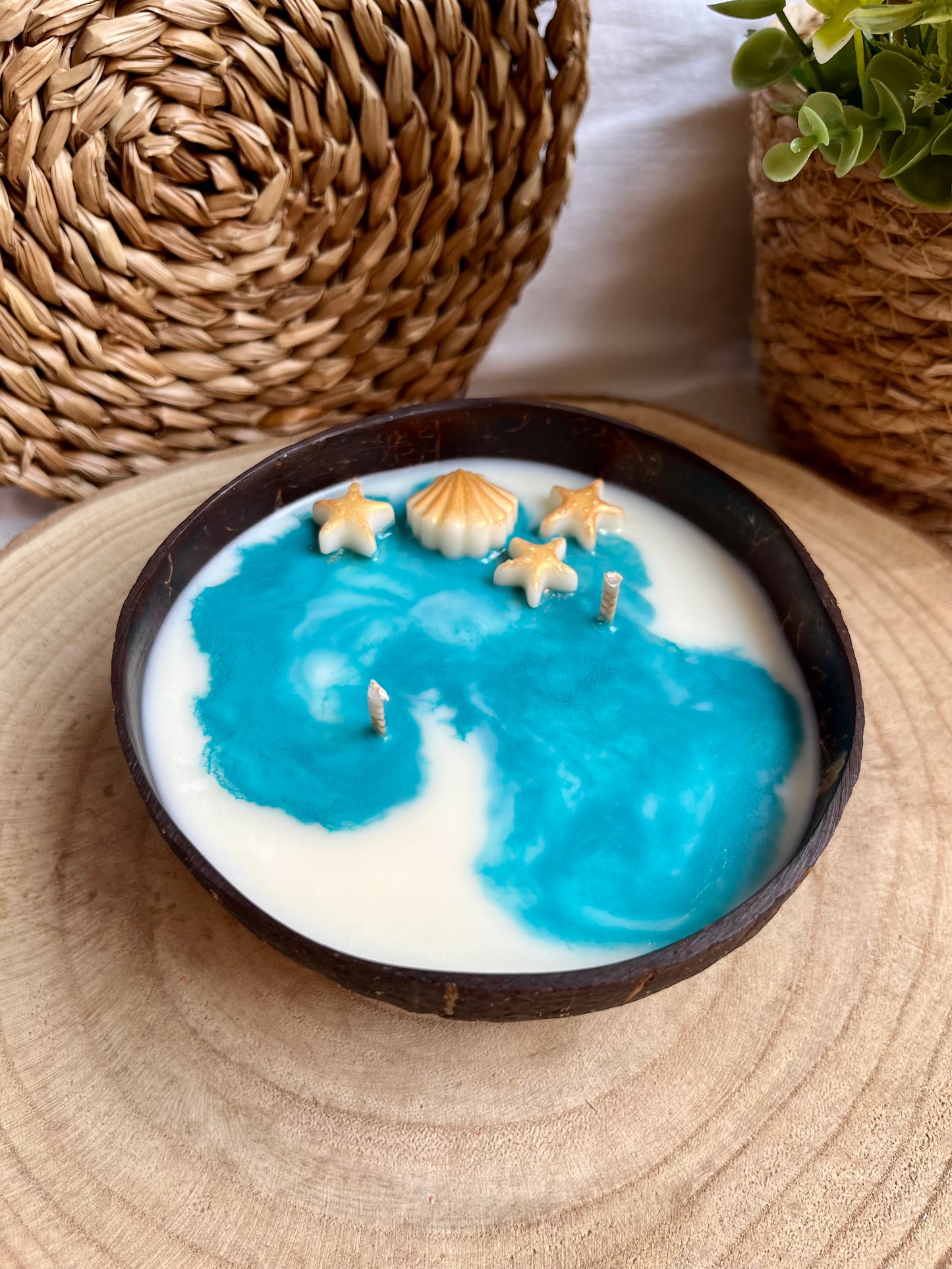 Vela "Coconut Valley"