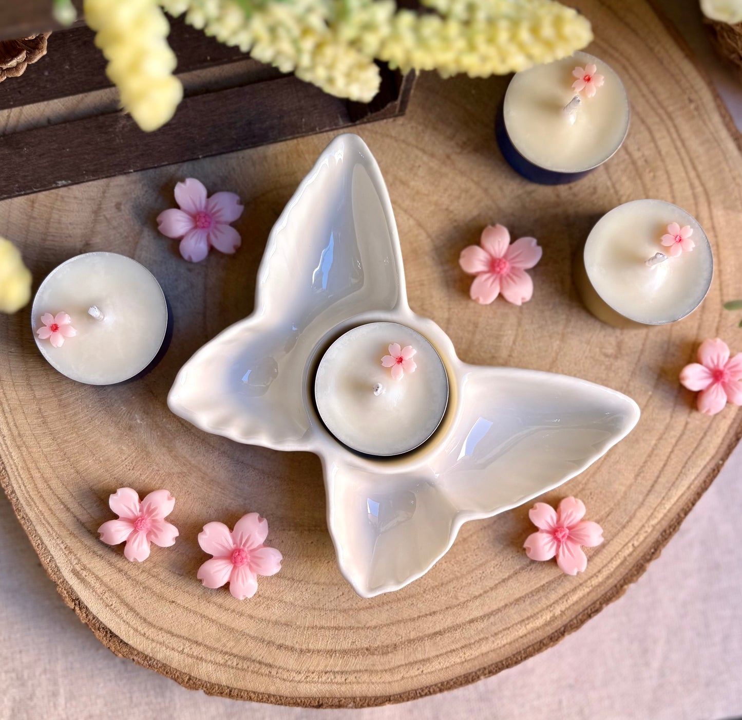 Pack "Sakura Breeze"