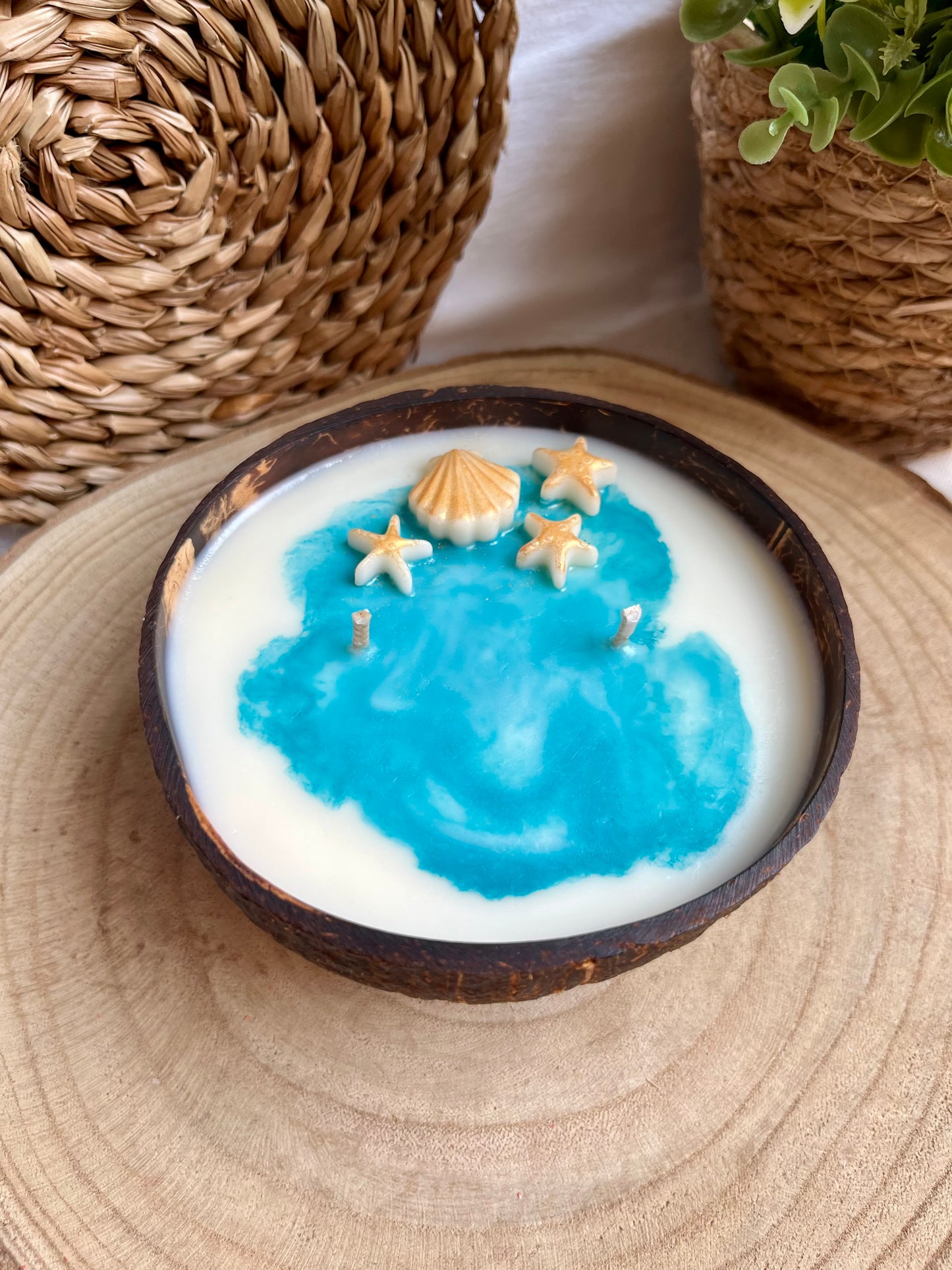 Vela "Coconut Valley"