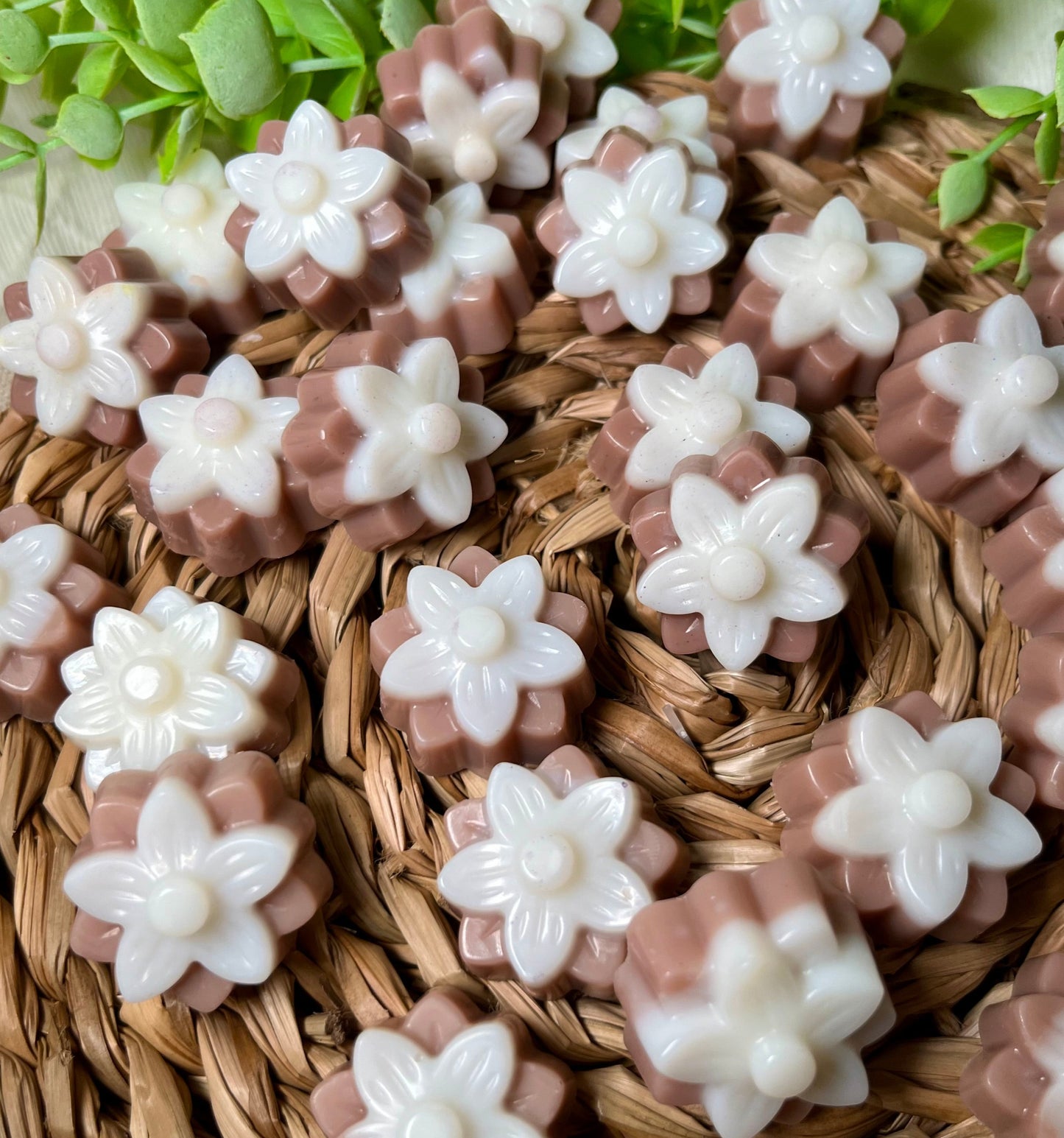 Pack "Entre algodones"