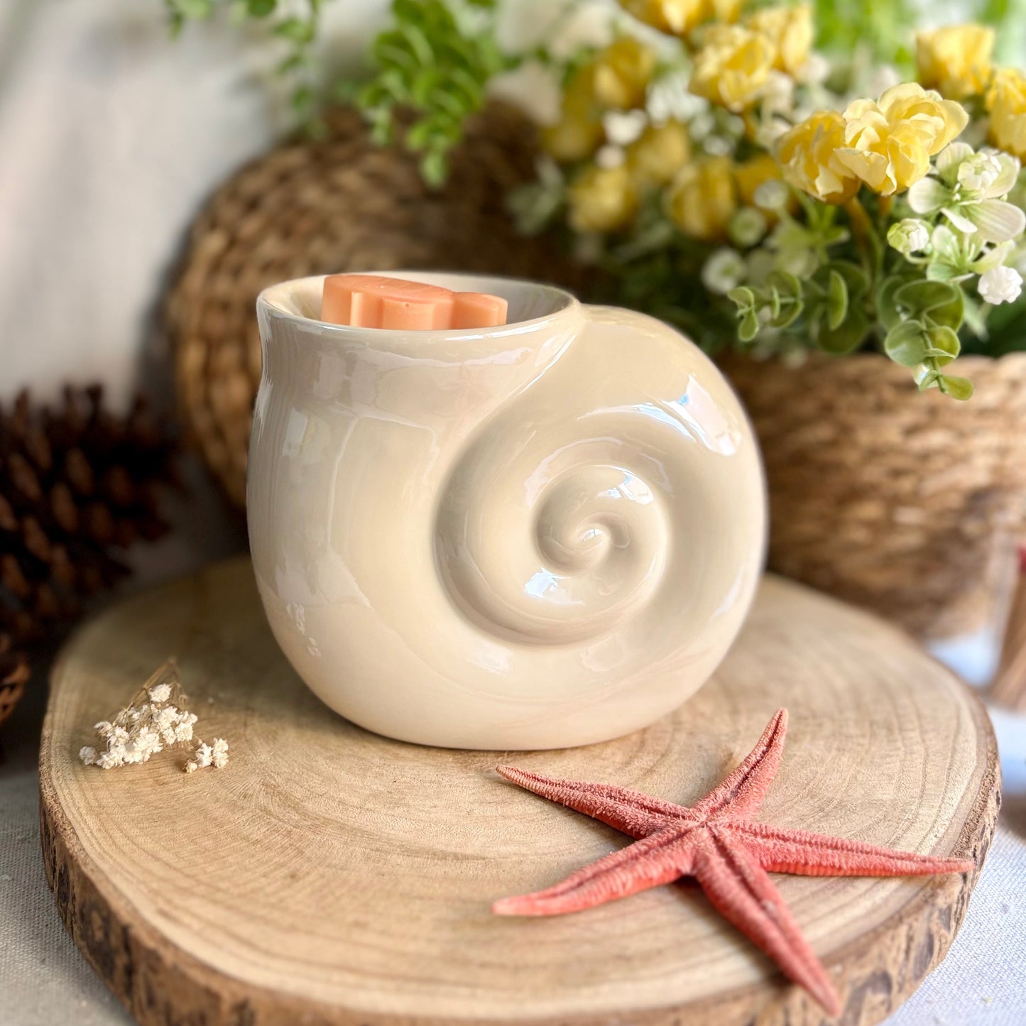 Quemador "Nautilus"