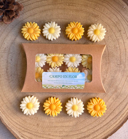 Wax melts "Campo en flor"