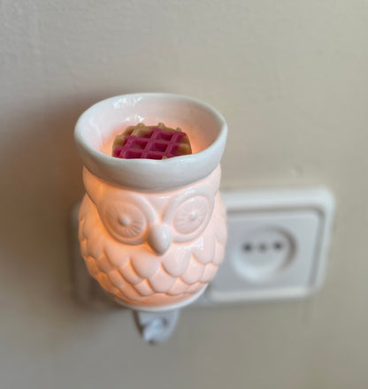 Mini Quemador Enchufable