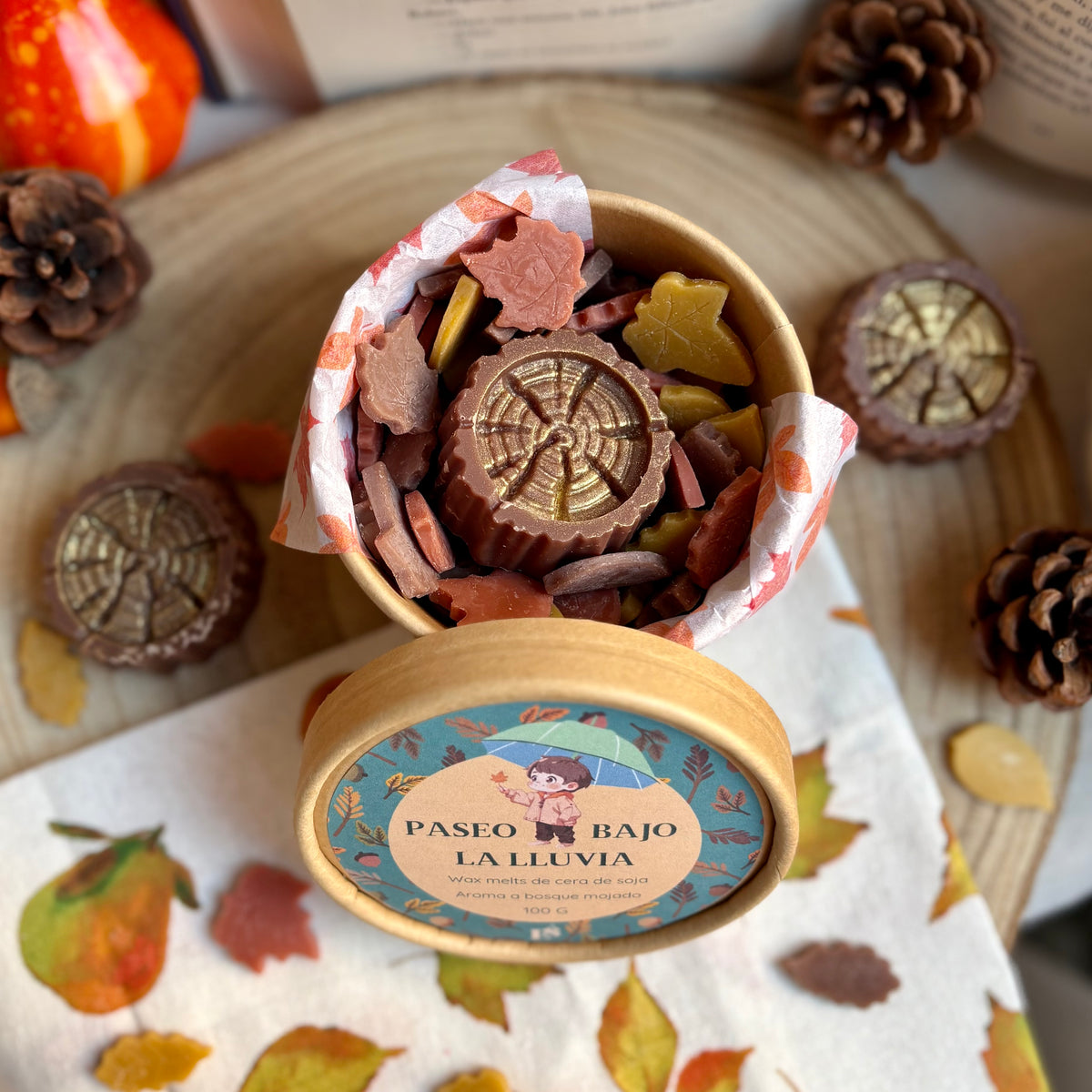 Paseo bajo la lluvia · Wax melts
