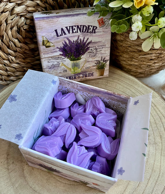 Pack "Lavender Bloom"