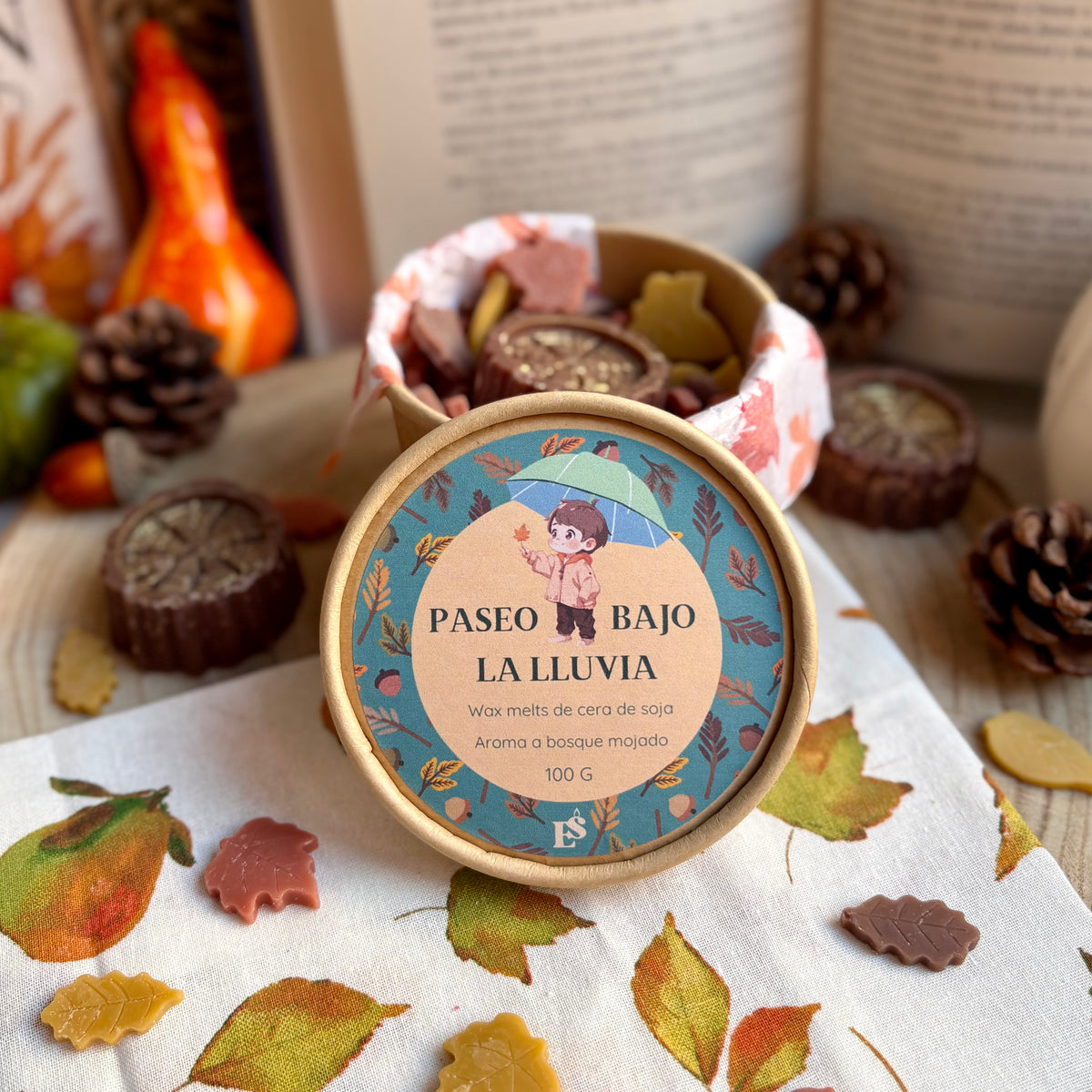 Paseo bajo la lluvia · Wax melts