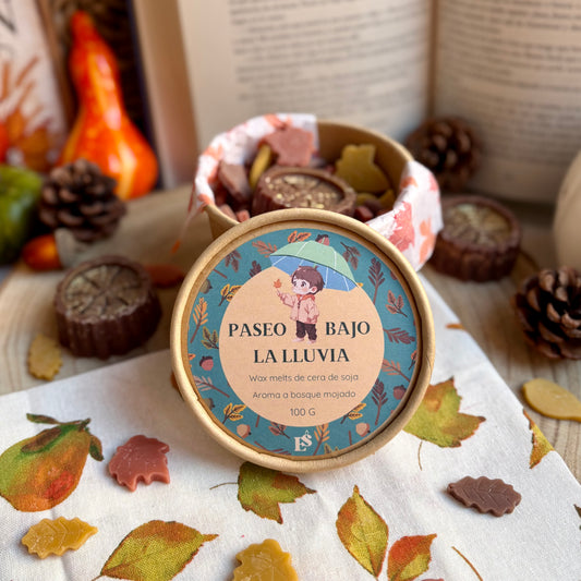 Paseo bajo la lluvia · Wax melts